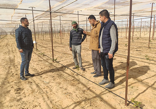 برنامج التأهيل المهني للأعضاء