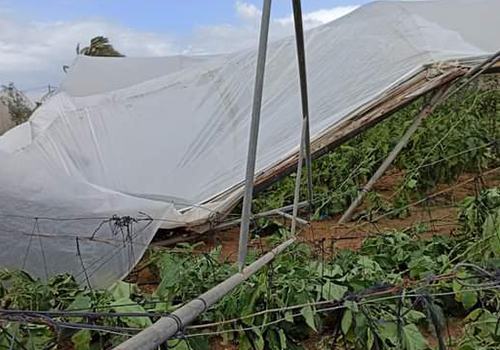 برنامج التسويق الزراعي