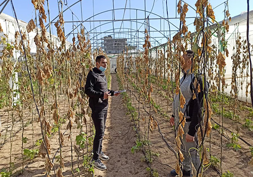 برنامج التمكين الزراعي والمشاركة