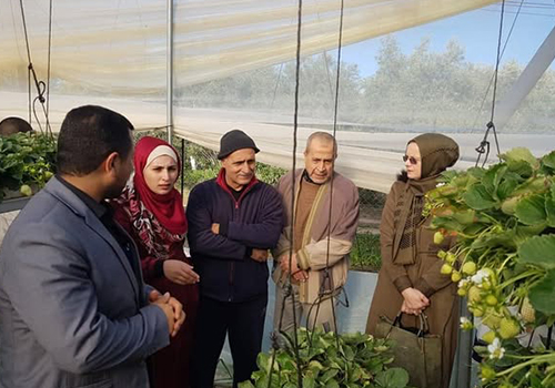 برنامج البيئة والتنمية المستدامة